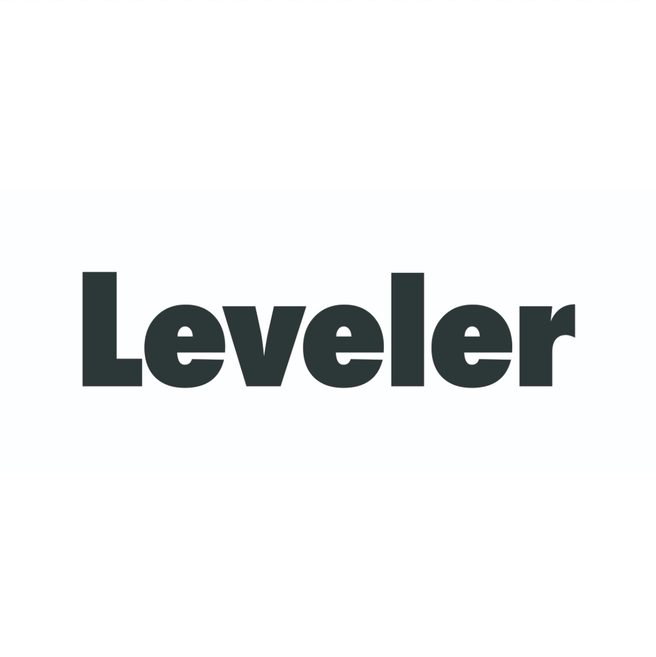 Leveler株式会社のアバター